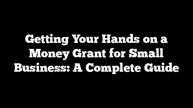 Getting Your Hands on a Money Grant for Small Business: A Complete Guide
